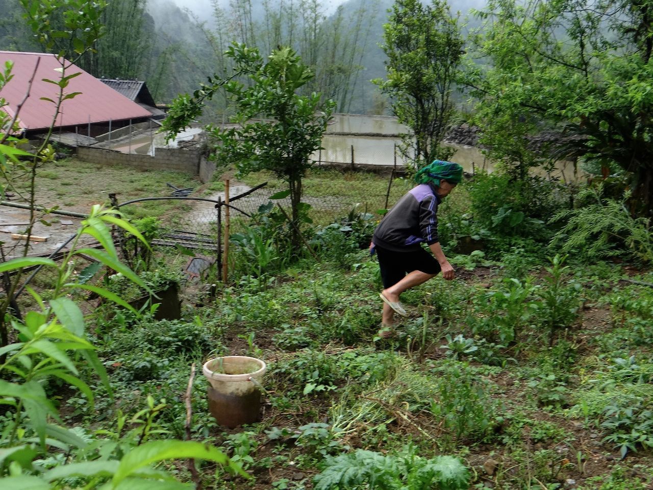 Повседневный труд. Почвы плодородны, но почти всегда идёт дождь. Поэтому трудятся в любую погоду. - Фотоотчет Вьетнам 2019. Часть2.