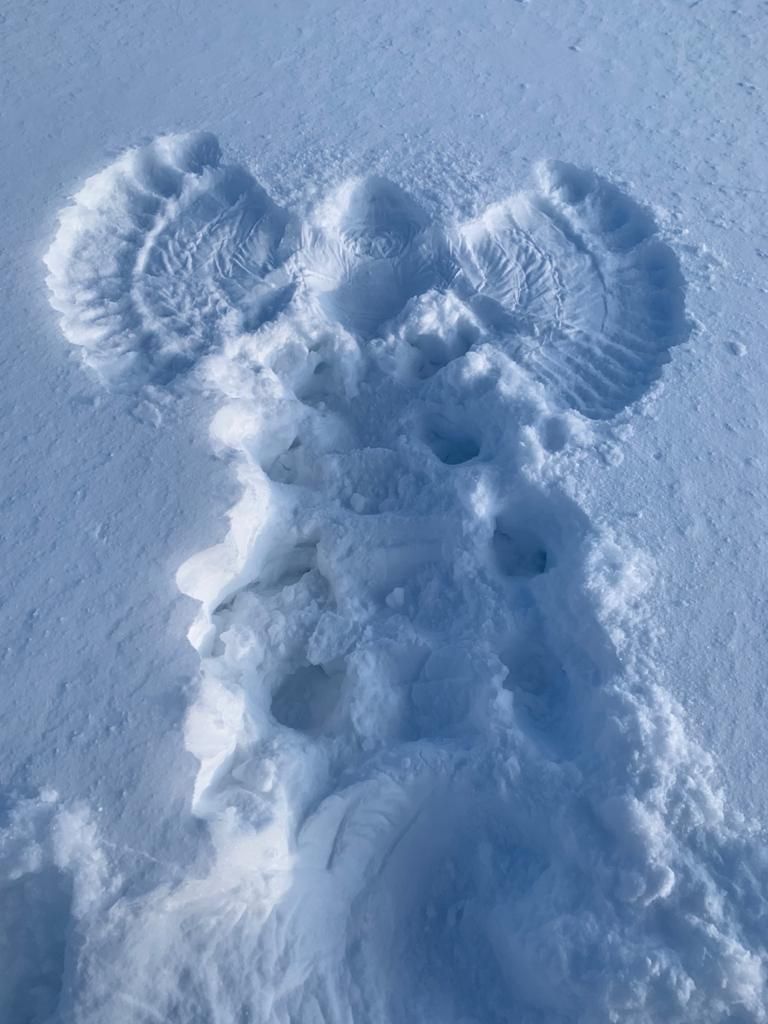 И снежные Ангелы нам в помощь. - Поездка группы «Вестники» на Зюраткульский геоглиф 09 февраля 2020 года.