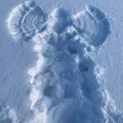 И снежные Ангелы нам в помощь. - Поездка группы «Вестники» на Зюраткульский геоглиф 09 февраля 2020 года.
