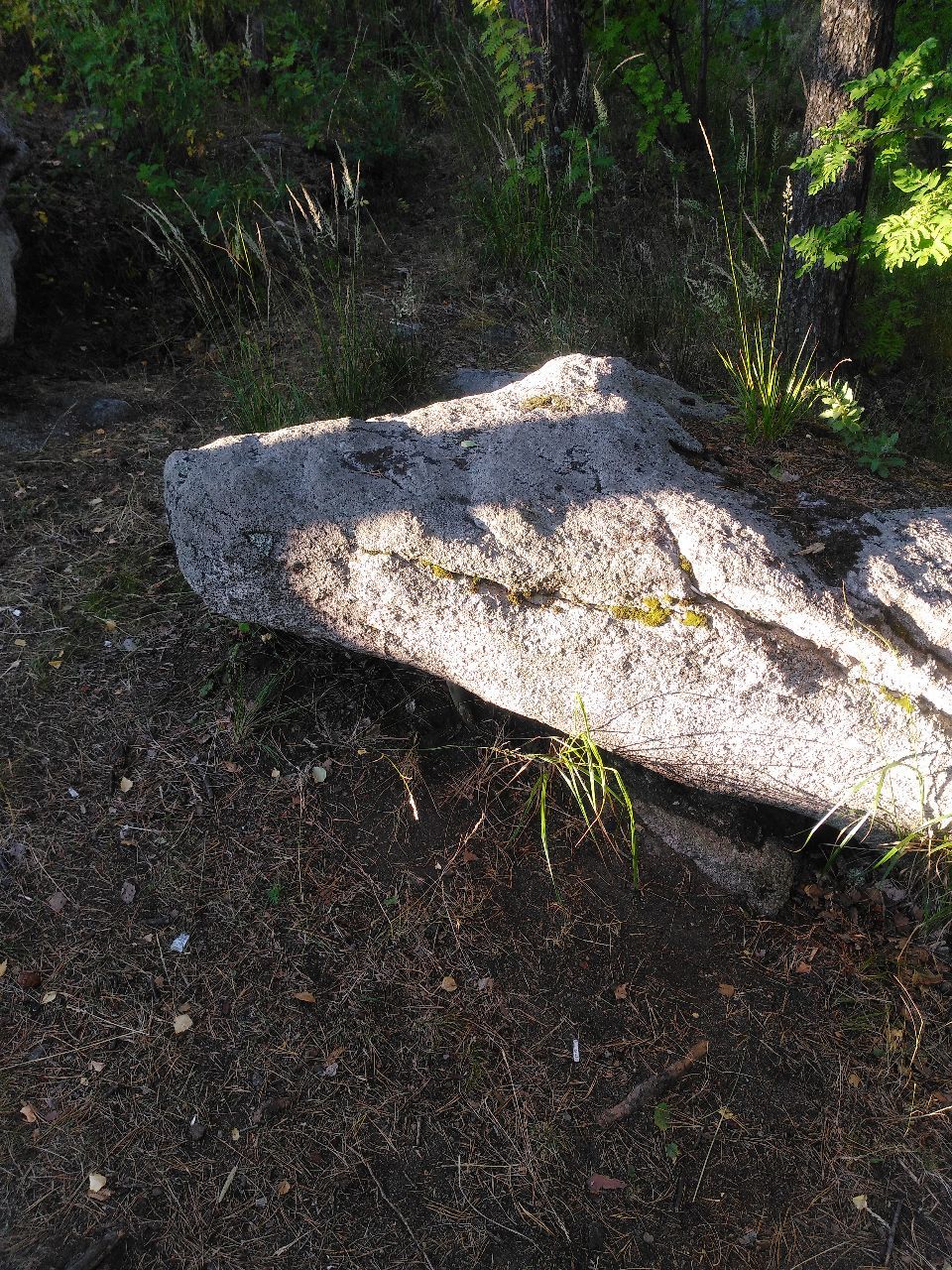 камень-крокодил - Поездка на Аракульский Шихан 2020.