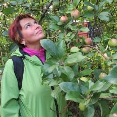 А яблочки, практически, молодильные. - Поездка группы «Вестники» на Соловки 4.09 –13.09 (День 2. Валаам).