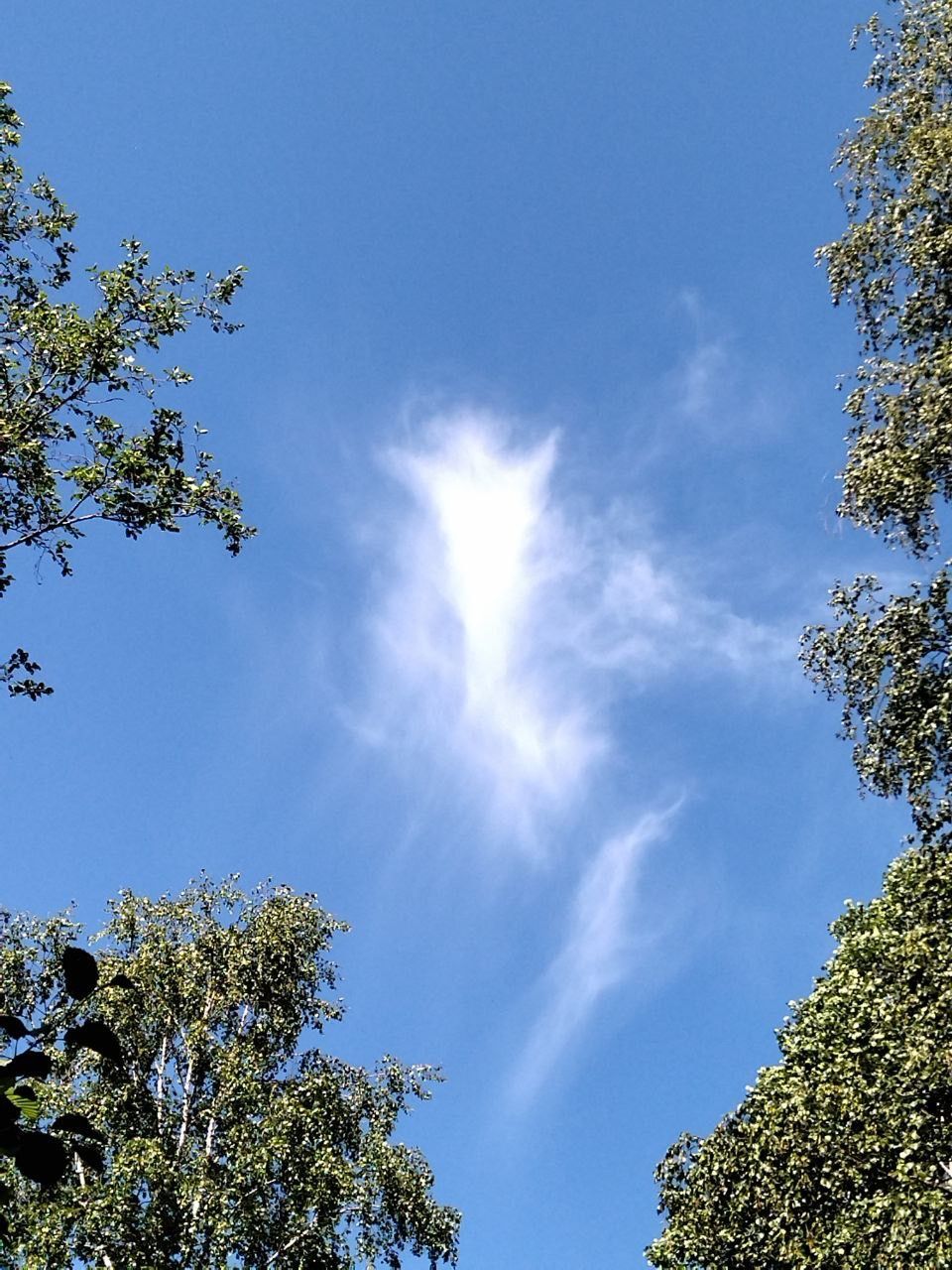 Ангел как знак небесного покровительства.  - Поездка группы «Вестники» на гору Карандаш 13 июня 2021 года.